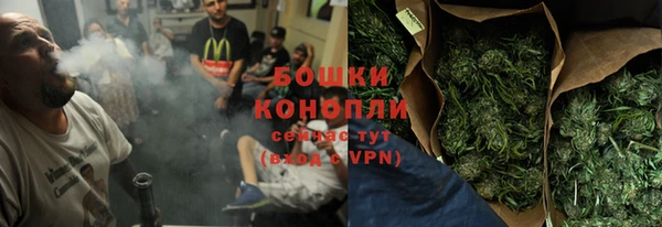 a pvp Бородино