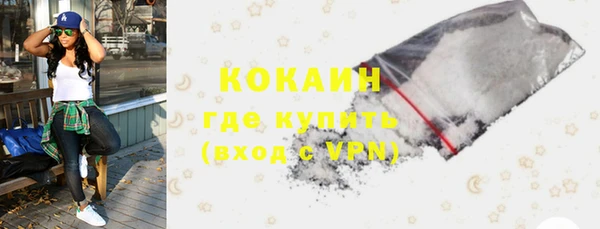 a pvp Бородино