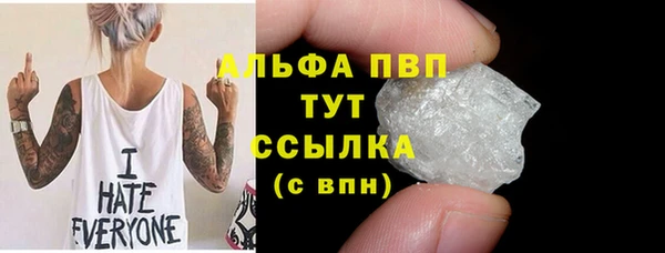 a pvp Бородино