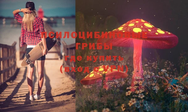 тгк Бронницы