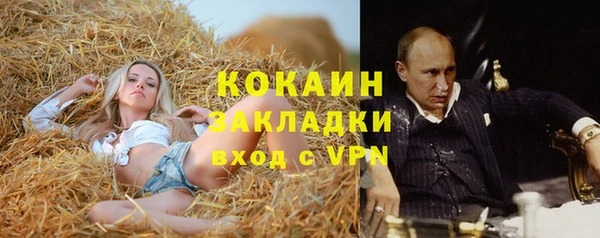 a pvp Бородино