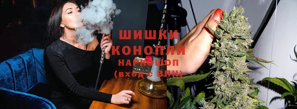 a pvp Бородино