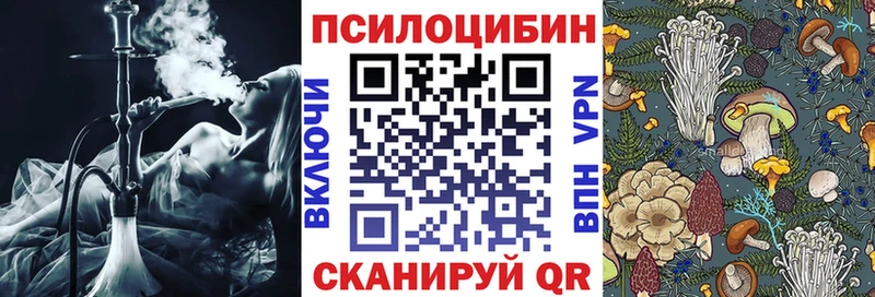 наркошоп  Торопец  Галлюциногенные грибы ЛСД 